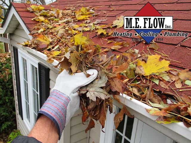 leafs on roof