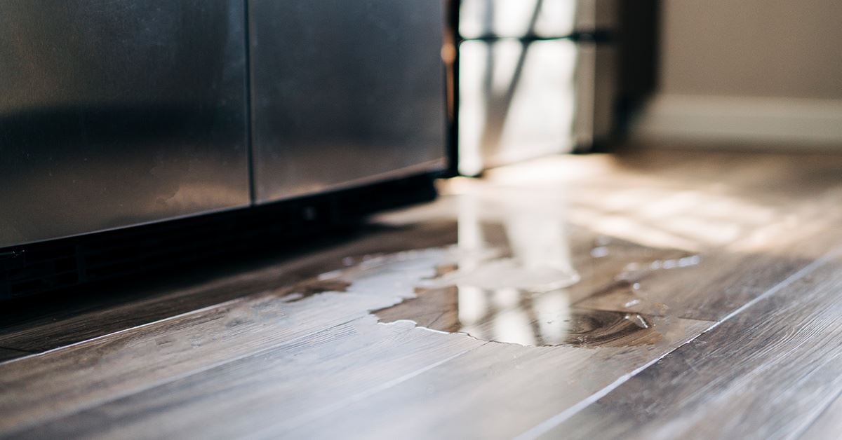 fridge leaking on floor