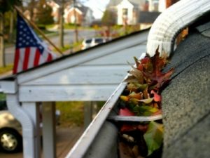 leaf in gutter