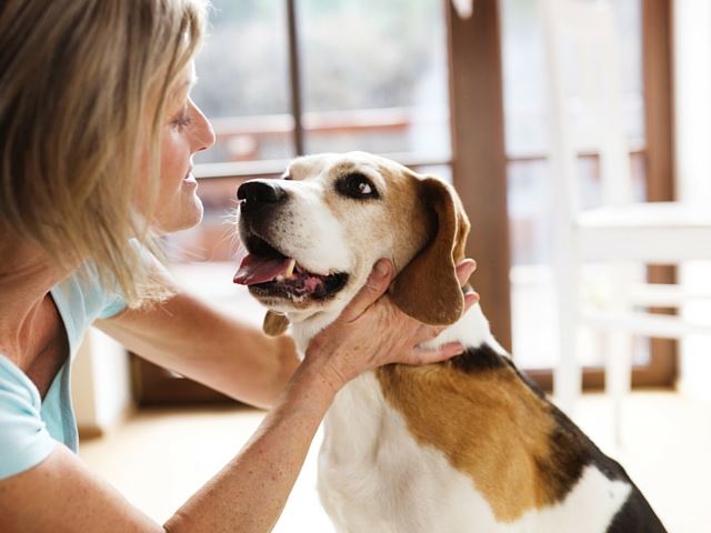 woman and dog