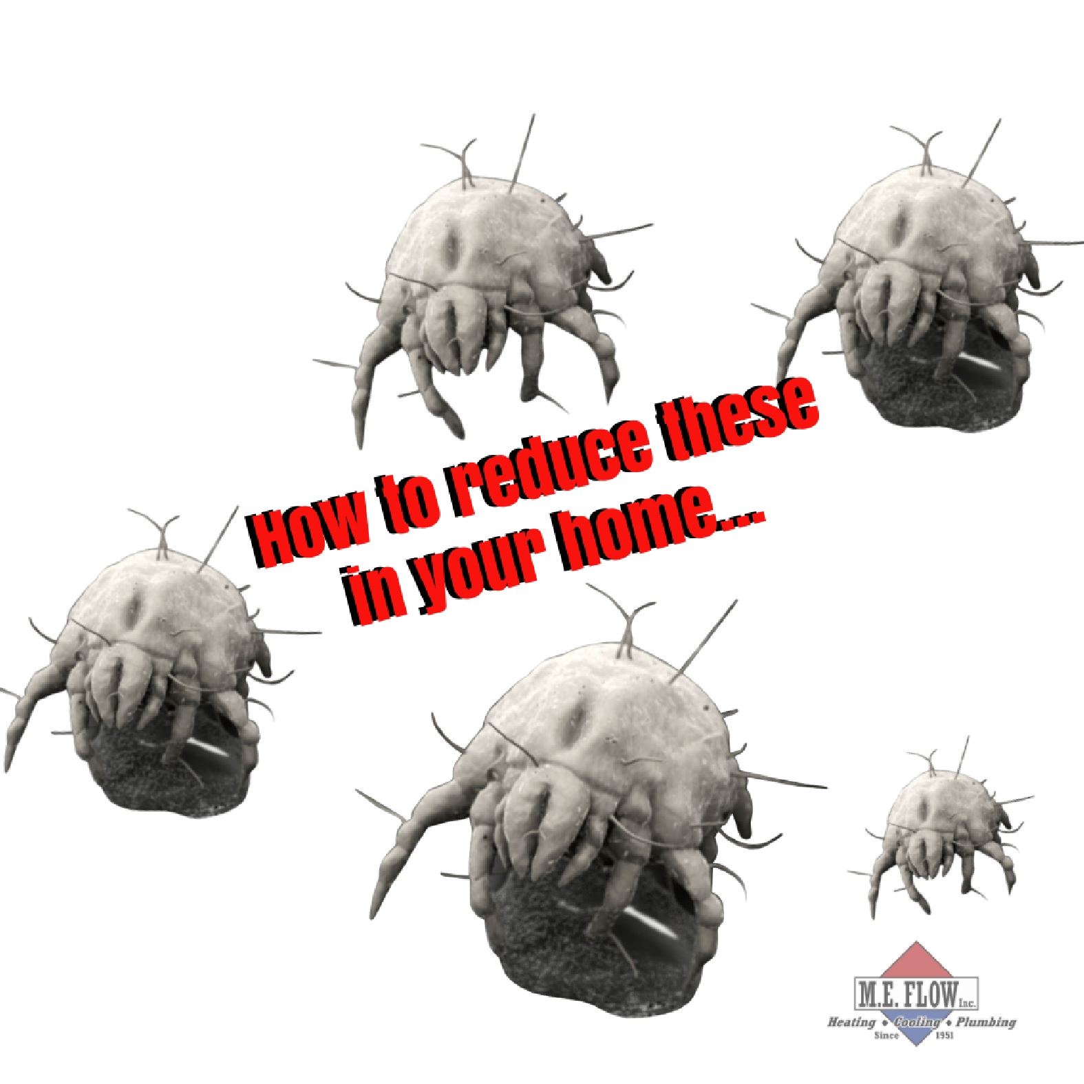 bugs