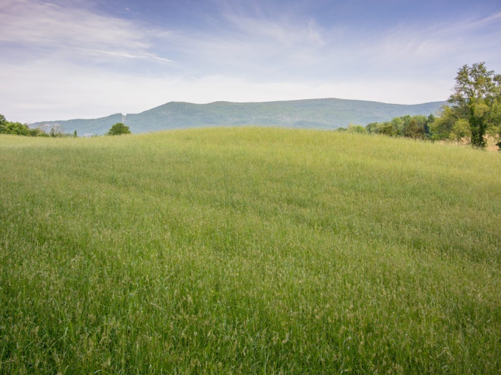 countryside